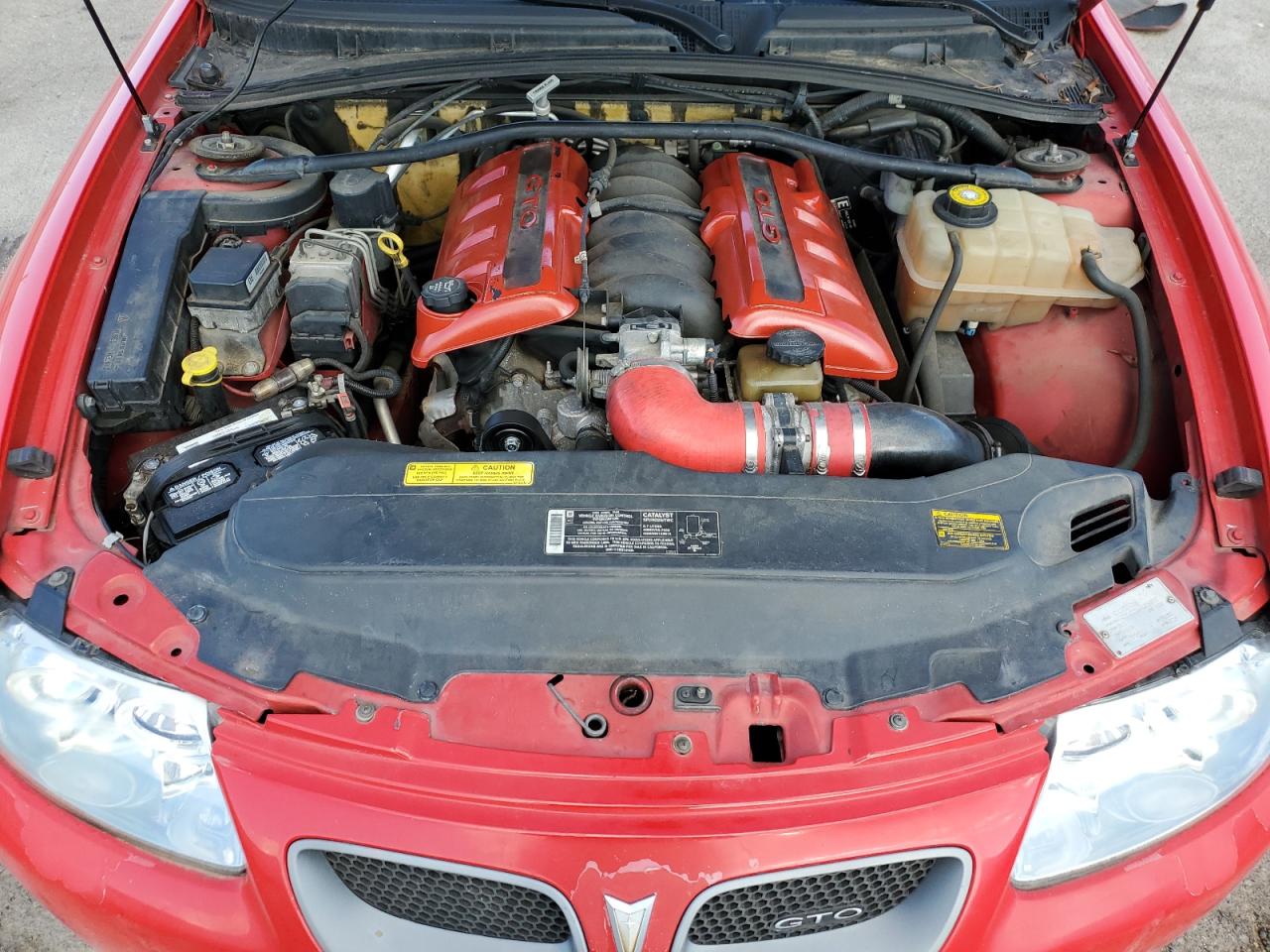 2004 Pontiac Gto VIN: 6G2VX12G84L256657 Lot: 84278105