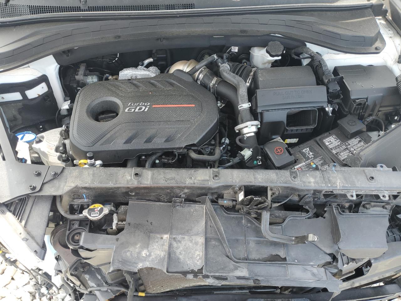 2020 Hyundai Santa Fe Limited VIN: 5NMS5CAAXLH293056 Lot: 82036575