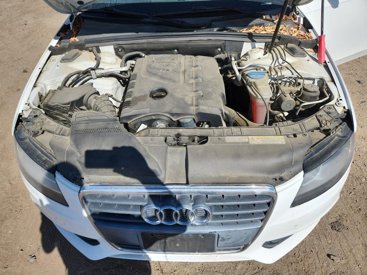 2010 Audi A4 Premium VIN: WAUAFAFL4AN003088 Lot: 71562045