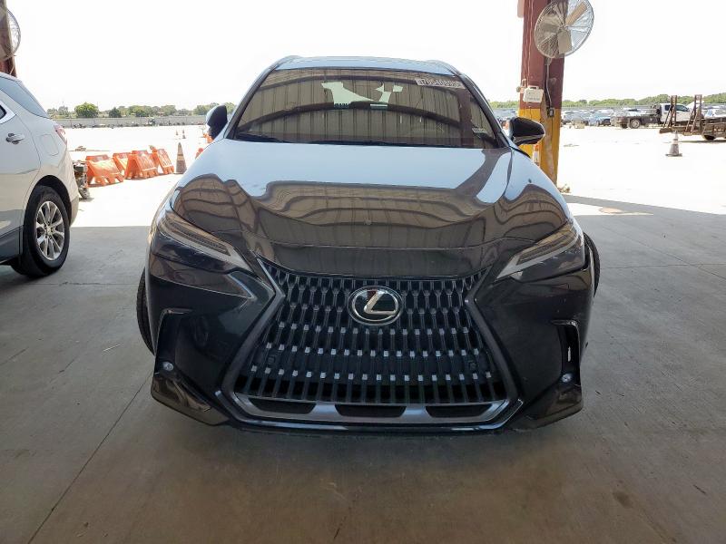  LEXUS NX 350H BA 2024 Серый