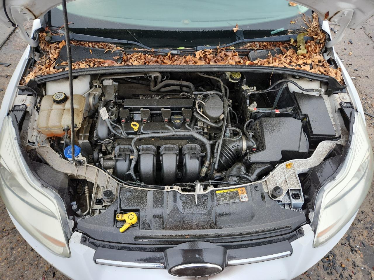 2013 Ford Focus Se VIN: 1FADP3K28DL107448 Lot: 82058285