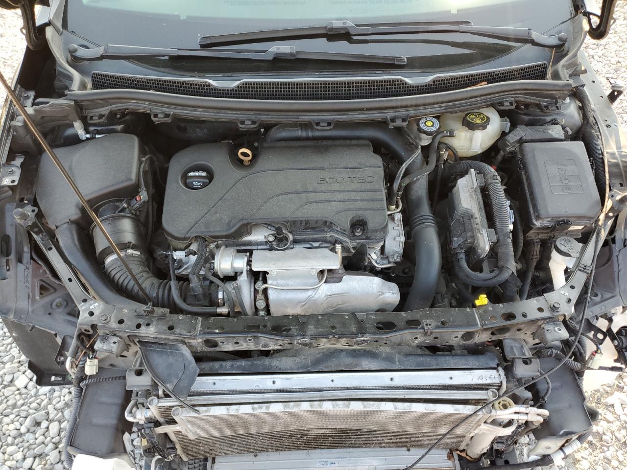 2019 Chevrolet Cruze Lt VIN: 1G1BE5SM7K7144509 Lot: 80732805