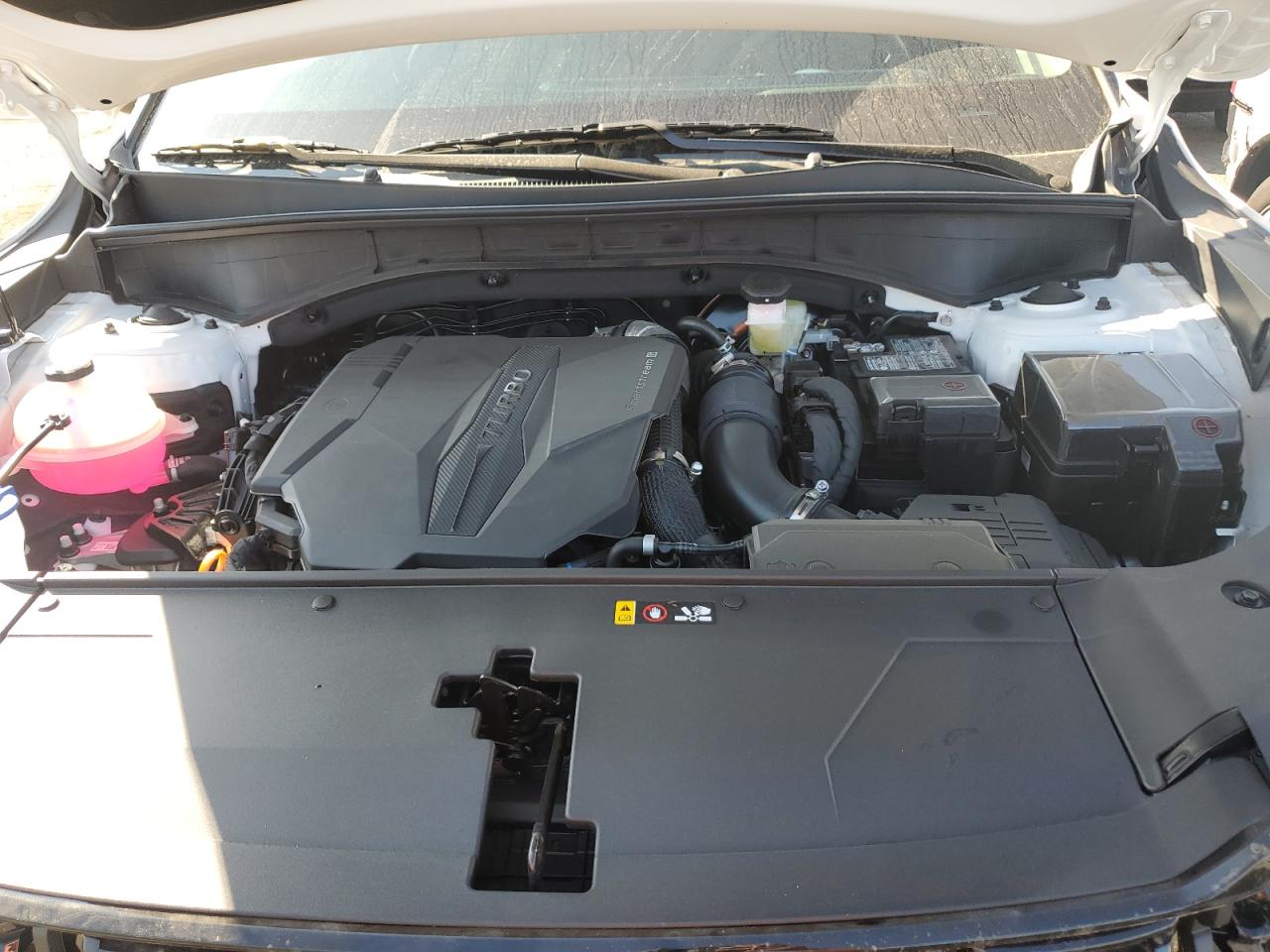 2025 Kia Sorento Ex VIN: 5XYRHDJF8SG393639 Lot: 81247785