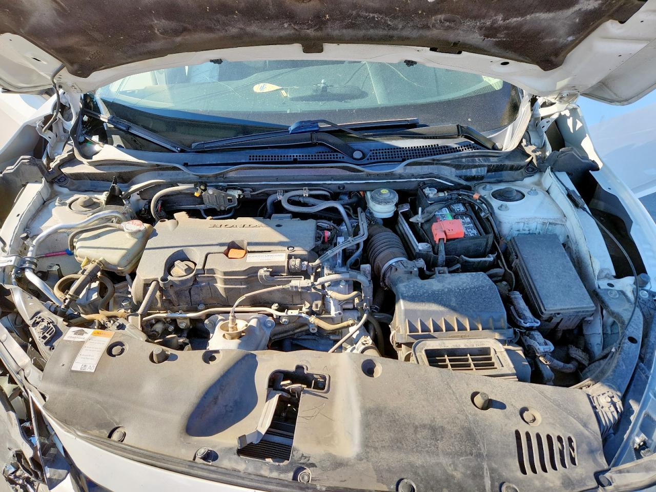 2019 Honda Civic Lx VIN: 2HGFC2F64KH576912 Lot: 71300965