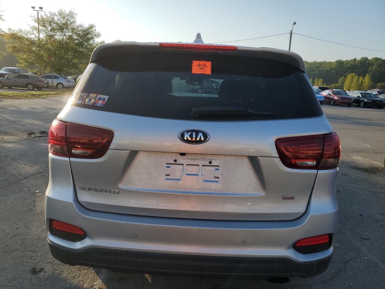 2019 Kia Sorento L VIN: 5XYPGDA34KG438074 Lot: 71154705