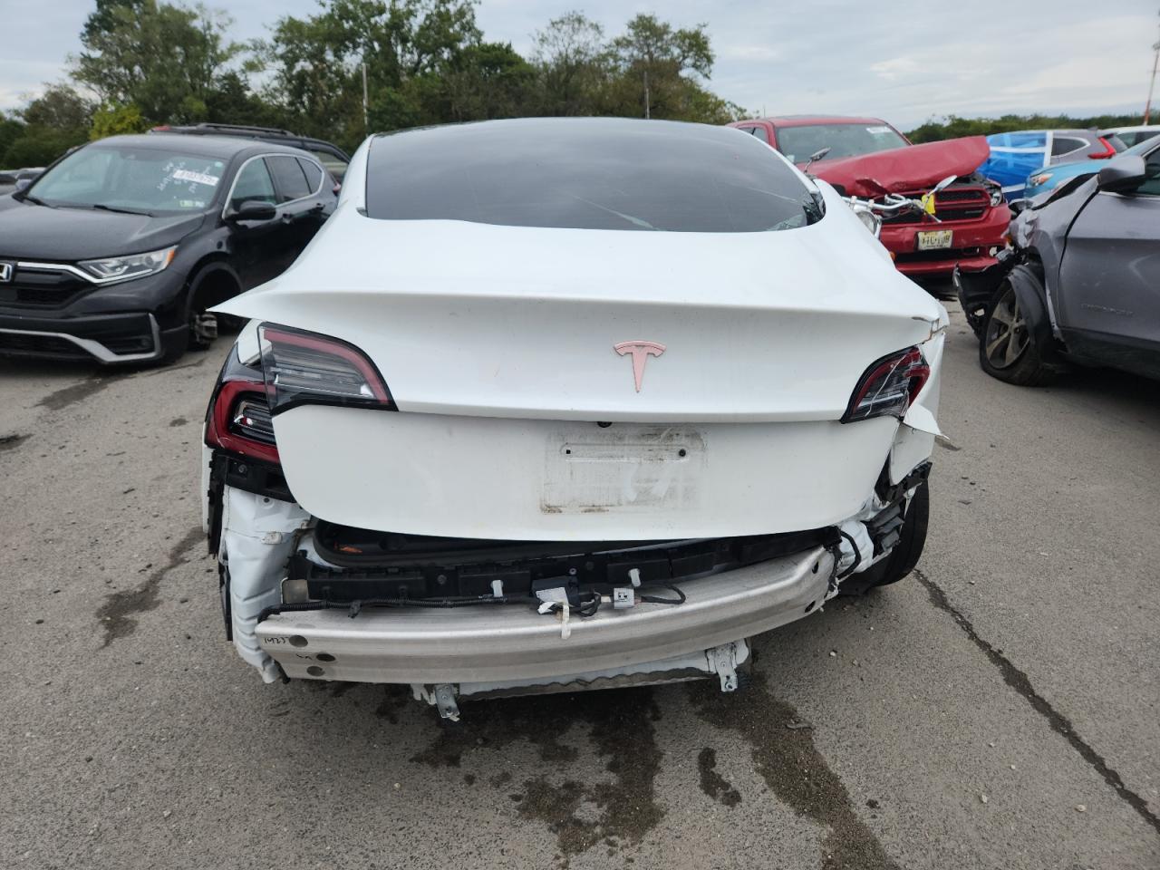 2021 Tesla Model 3 VIN: 5YJ3E1EA2MF851312 Lot: 80904185