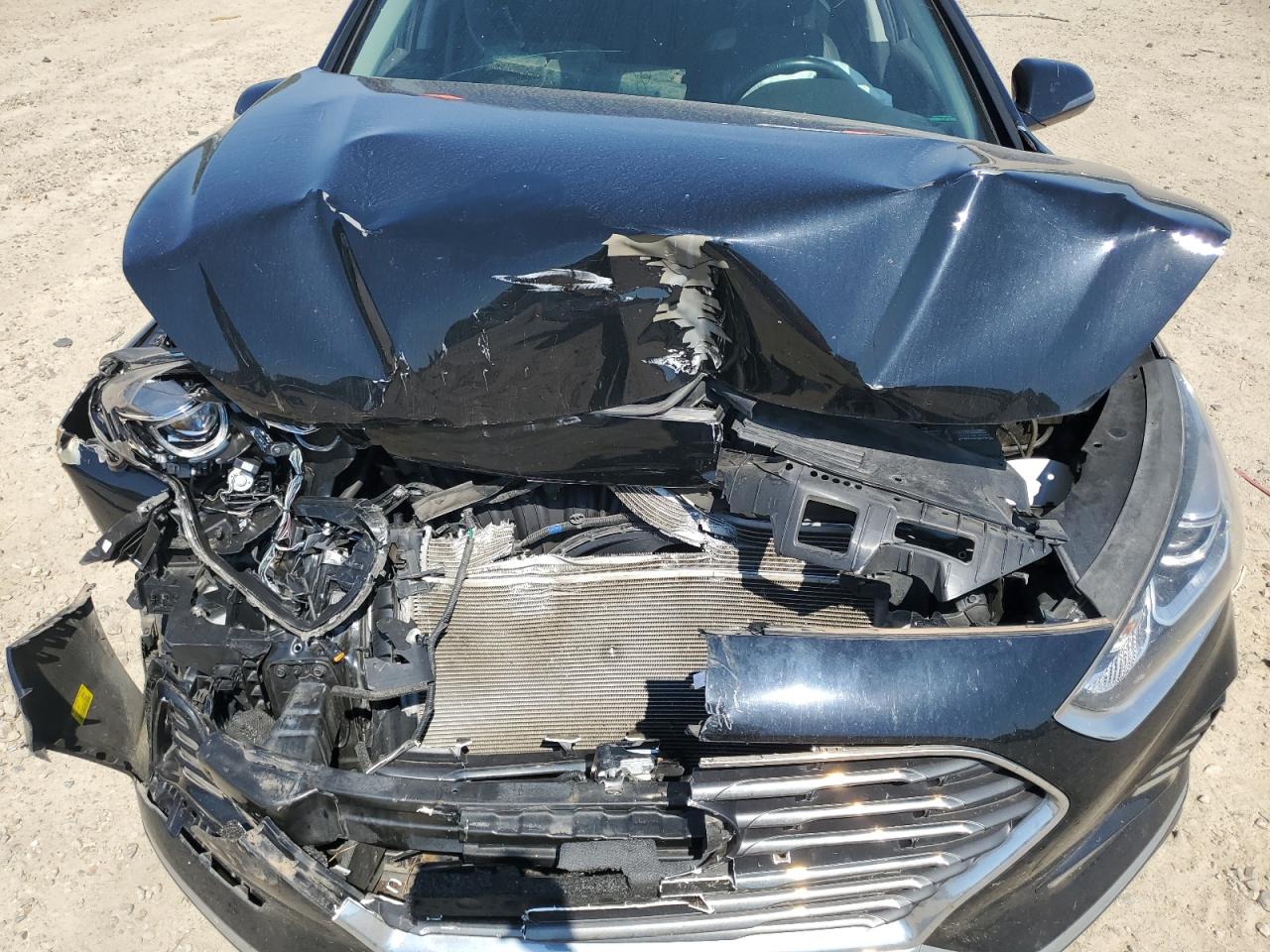 2018 Hyundai Sonata Sport VIN: 5NPE34AF5JH600489 Lot: 81059305