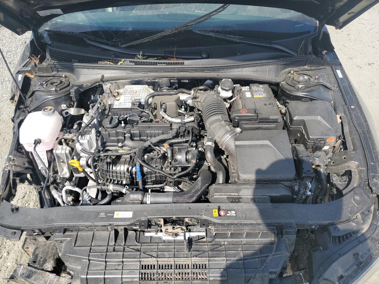 2025 Hyundai Elantra N VIN: KMHLW4DKXSU031231 Lot: 83871065