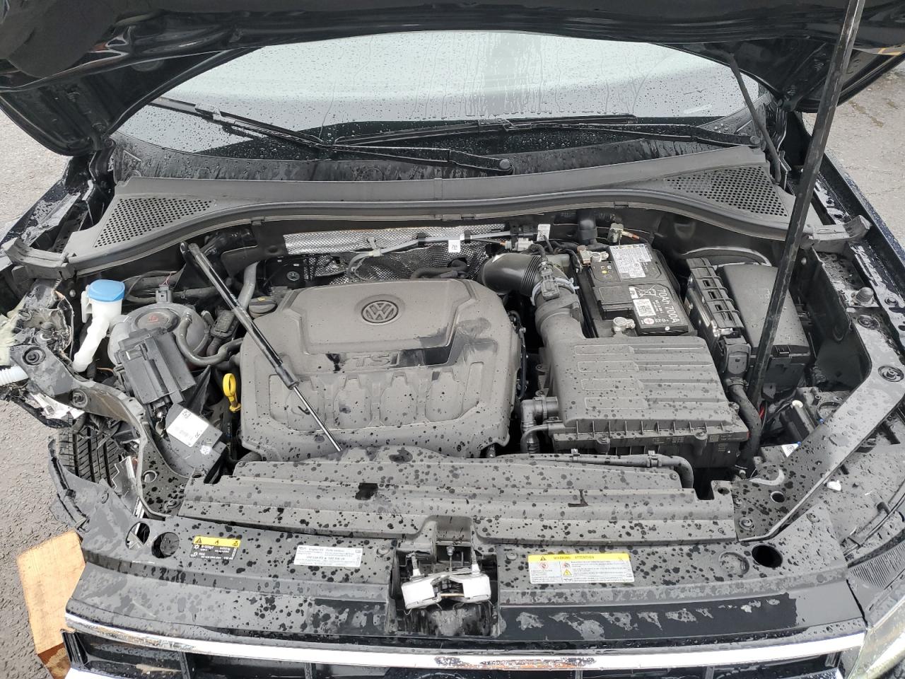 2024 Volkswagen Tiguan S VIN: 3VVRB7AX8RM170026 Lot: 81431985