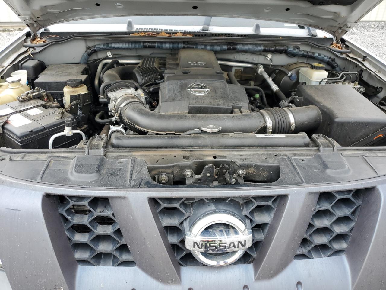 2007 Nissan Xterra Off Road VIN: 5N1AN08U37C539679 Lot: 81876215