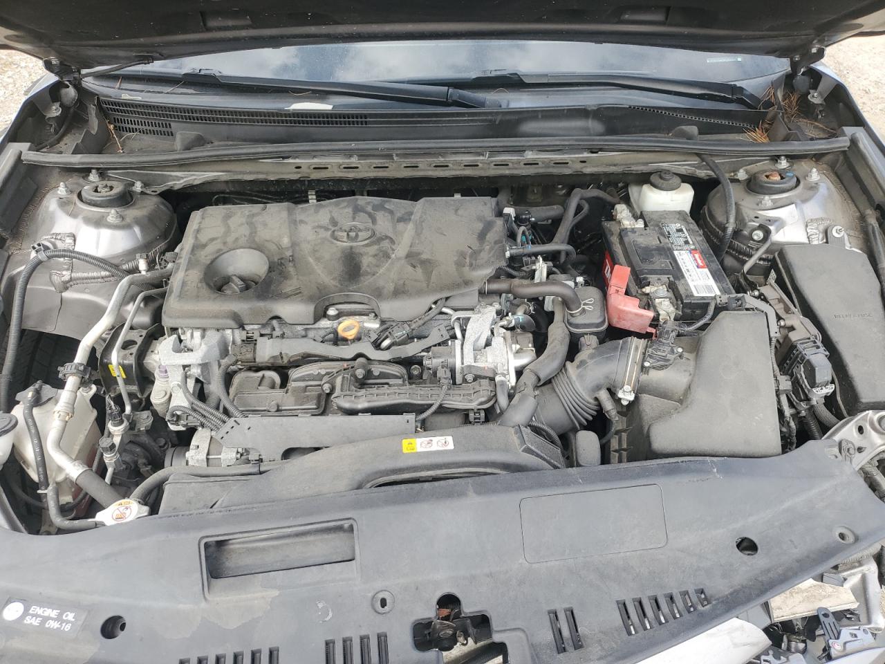 2019 Toyota Camry L VIN: 4T1B11HK3KU259347 Lot: 81398125