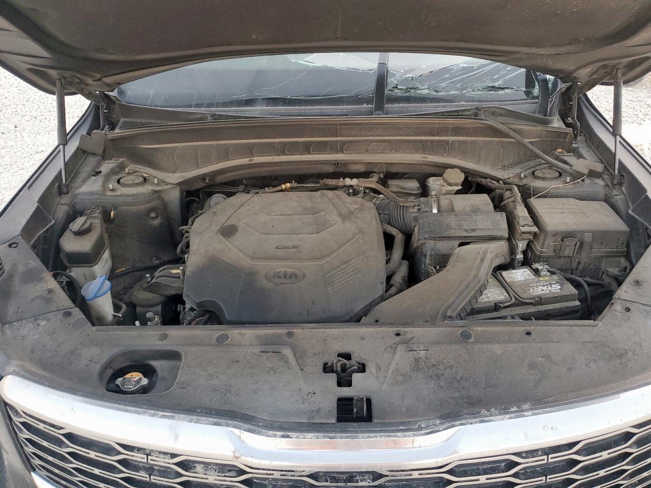 2021 Kia Telluride Sx VIN: 5XYP54HC1MG114496 Lot: 81195685