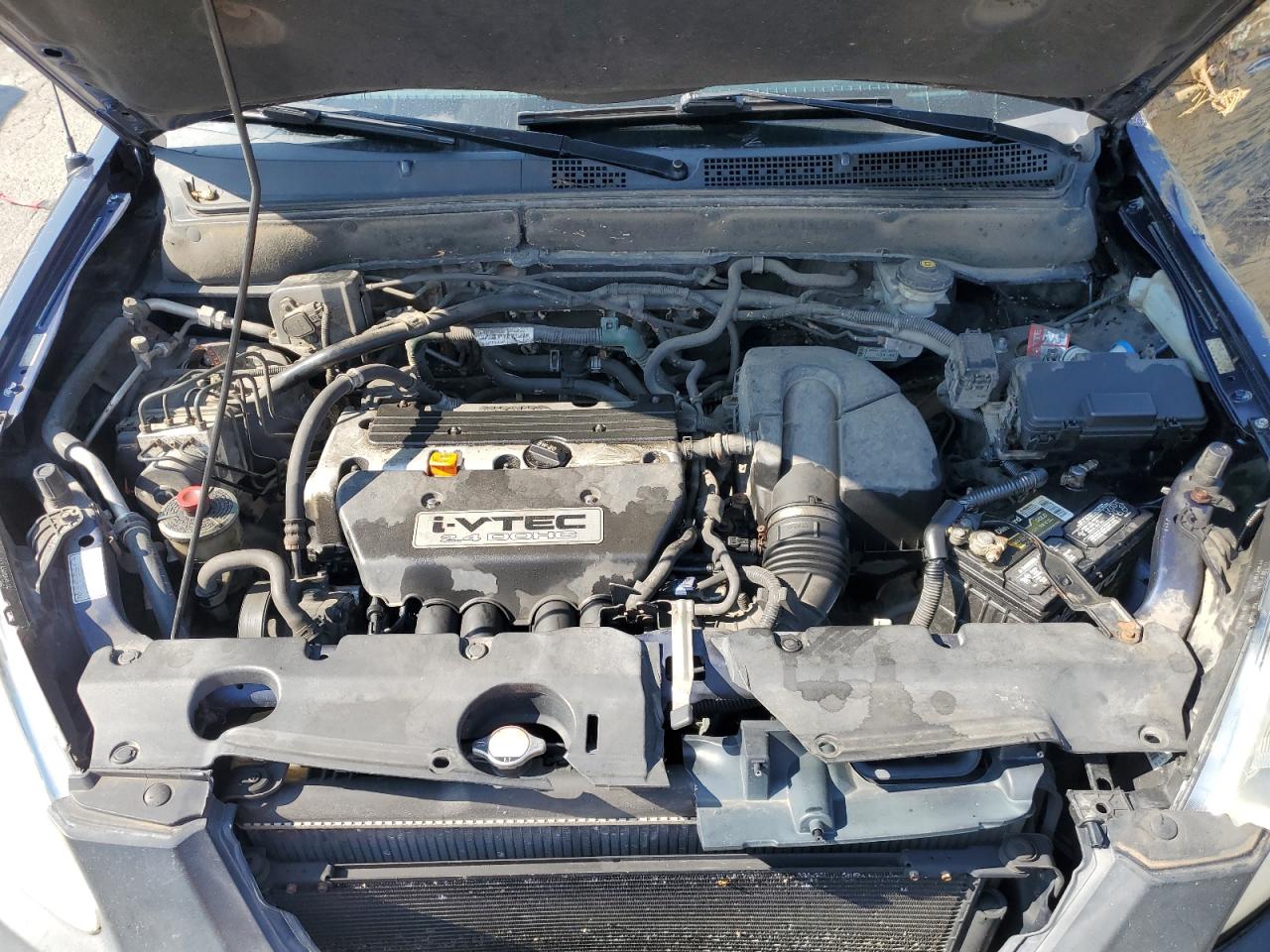 2005 Honda Cr-V Ex VIN: SHSRD78825U310828 Lot: 81195695