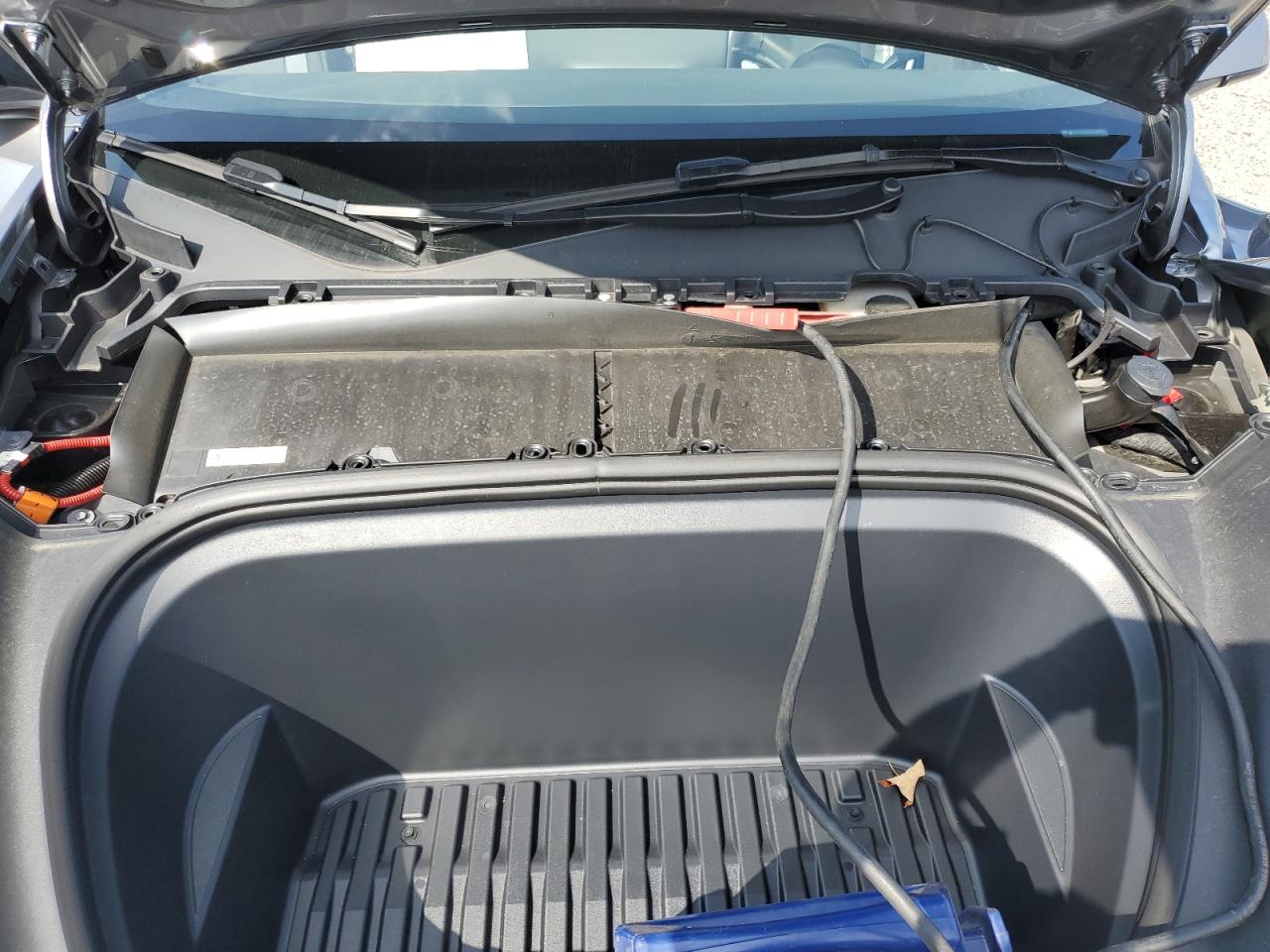 2024 Tesla Model Y VIN: 7SAYGDEE2RA333891 Lot: 83788875