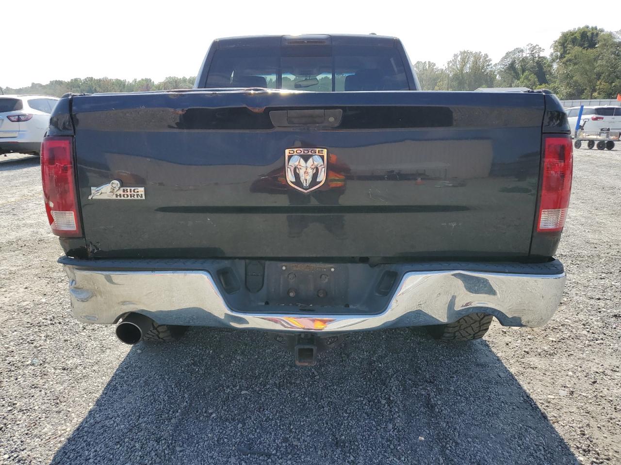 2010 Dodge Ram 1500 VIN: 1D7RB1GTXAS238635 Lot: 81735625