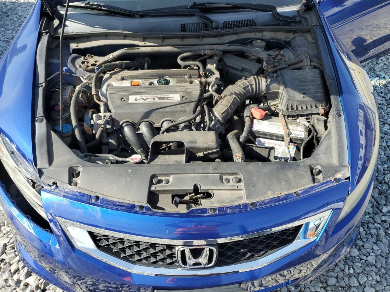 2009 Honda Accord Exl VIN: 1HGCS12829A018668 Lot: 81654175