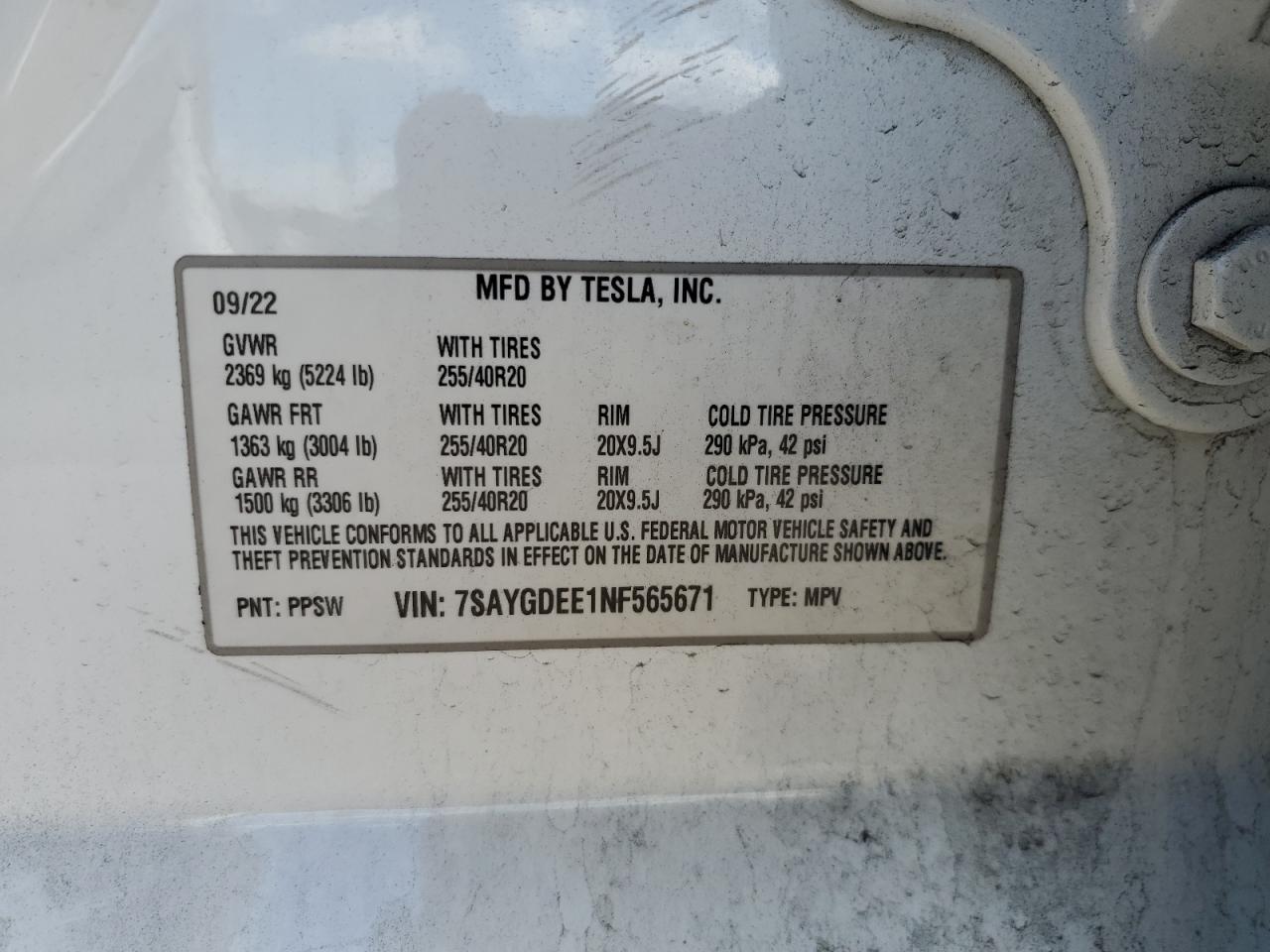 2022 Tesla Model Y VIN: 7SAYGDEE1NF565671 Lot: 81042355