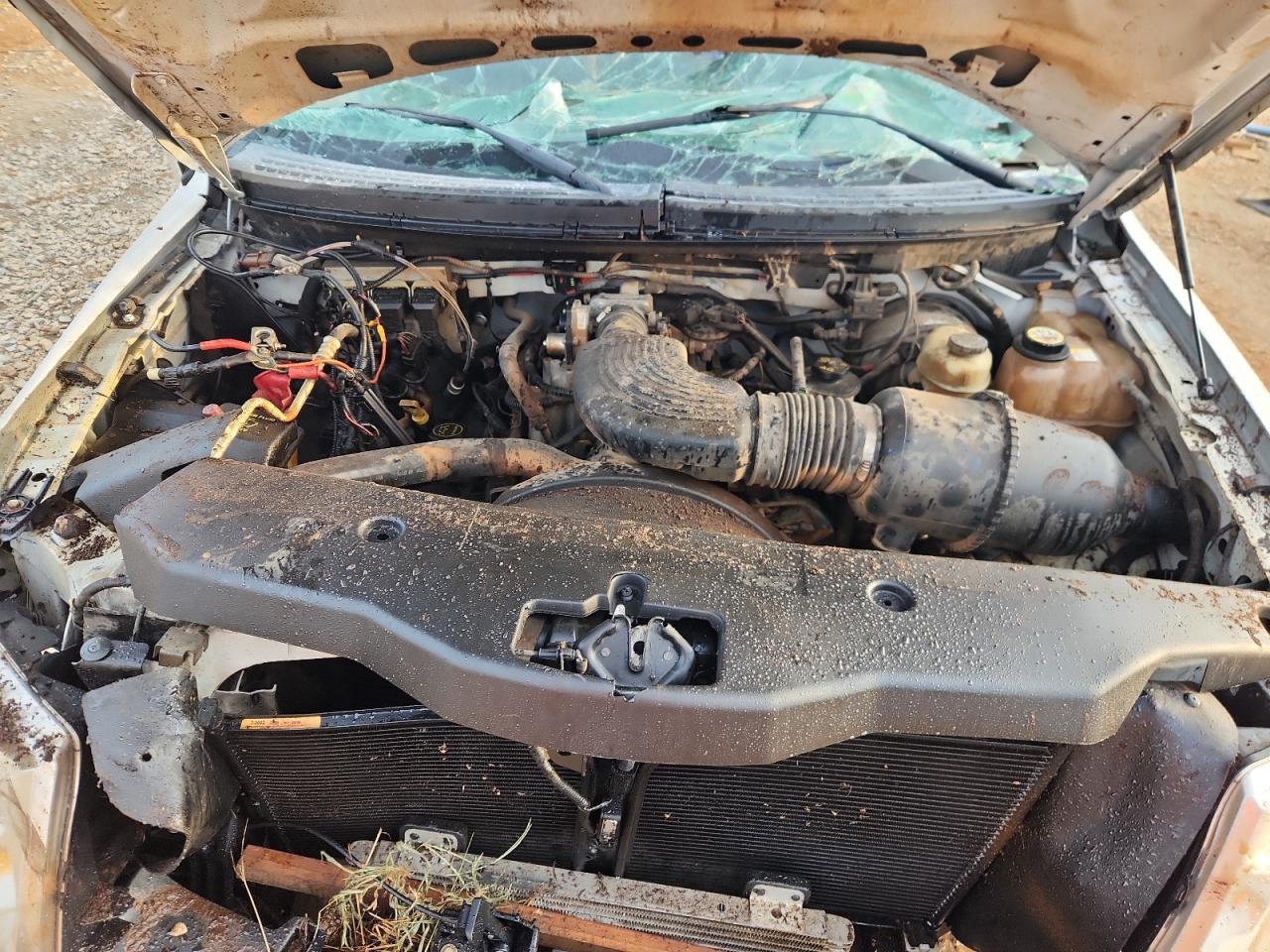 2006 Ford F150 VIN: 1FTRX12W46KD74604 Lot: 81573875