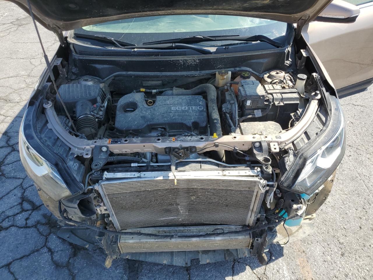 2019 Chevrolet Equinox Lt VIN: 2GNAXKEV1K6205540 Lot: 81065985