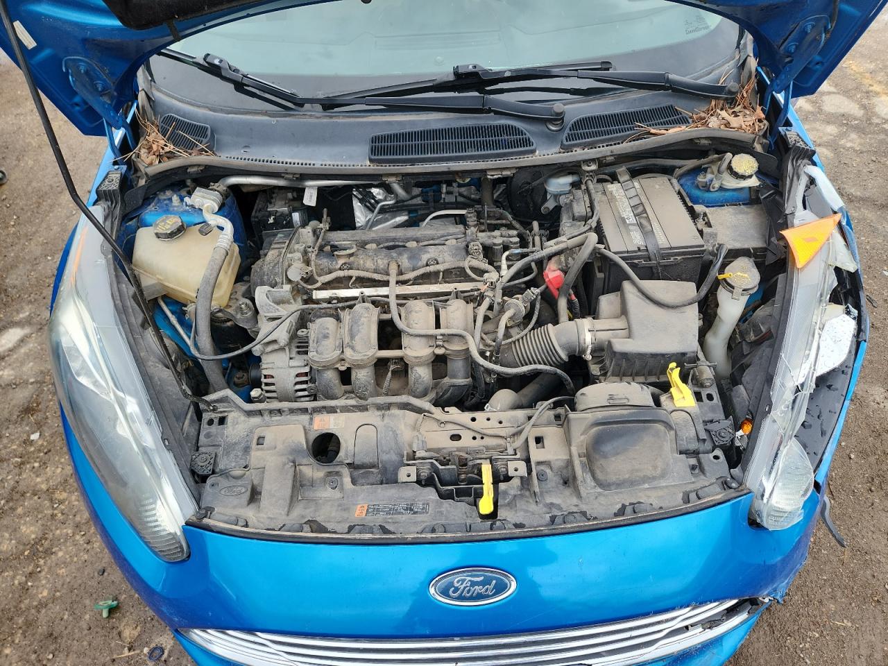 2015 Ford Fiesta Se VIN: 3FADP4BJ9FM145897 Lot: 81032435