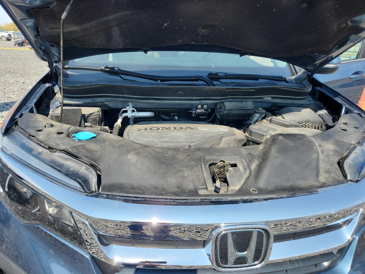 2019 Honda Pilot Exl VIN: 5FNYF6H51KB099680 Lot: 81247275