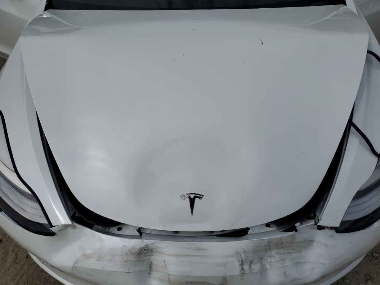 2020 Tesla Model 3 VIN: 5YJ3E1EBXLF800969 Lot: 82095005