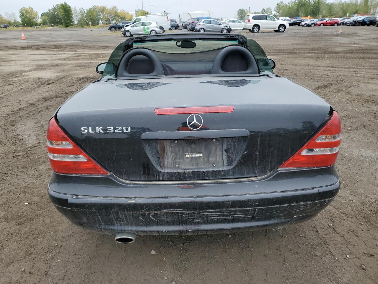 2004 Mercedes-Benz Slk 320 VIN: WDBKK65F24F303964 Lot: 82069925