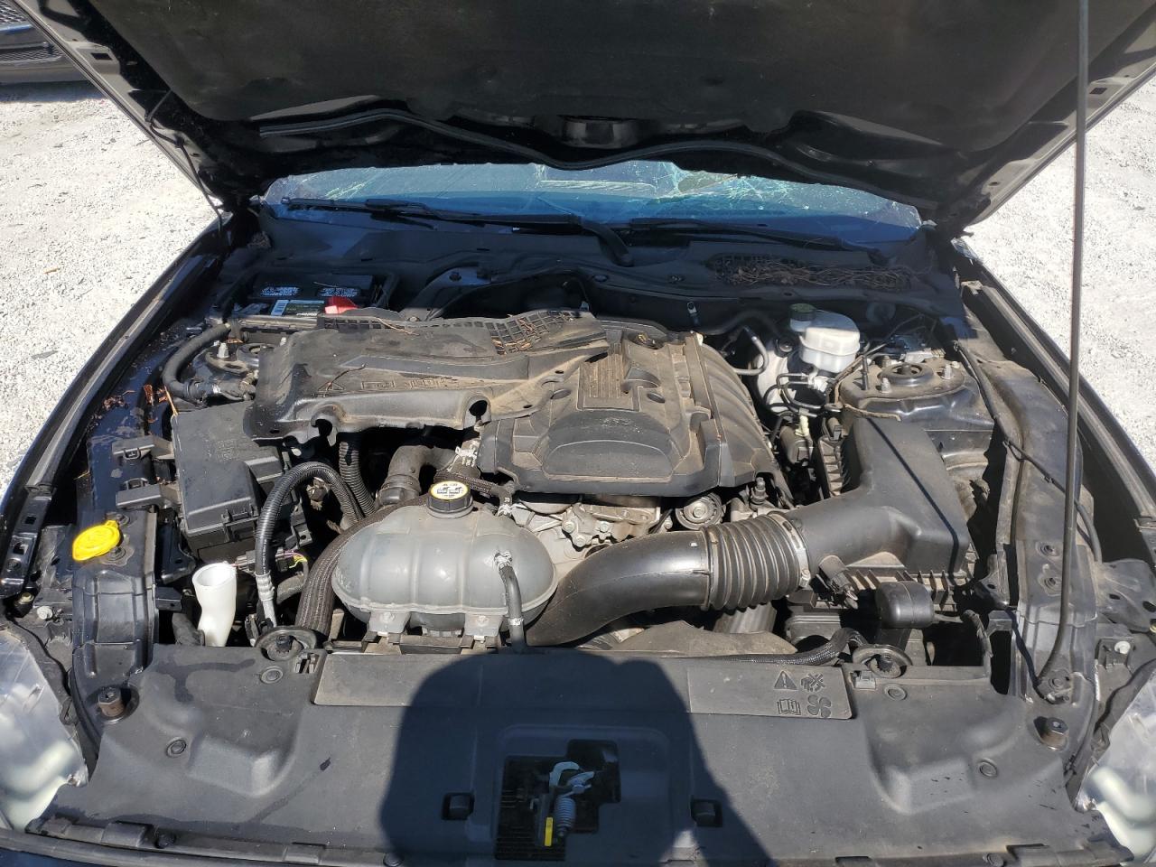 2018 Ford Mustang VIN: 1FA6P8TH8J5135100 Lot: 72084895