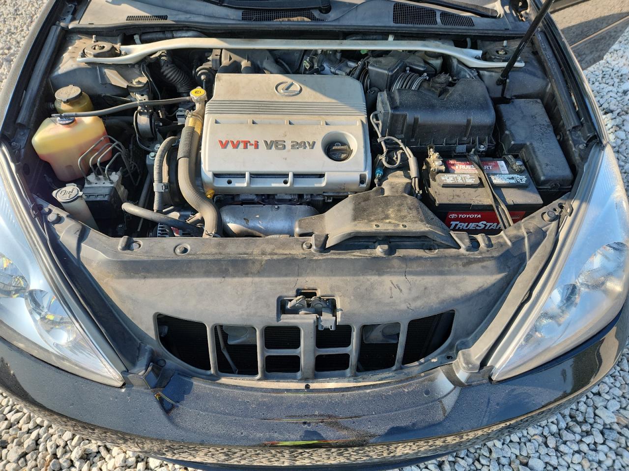 2002 Lexus Es 300 VIN: JTHBF30G825031698 Lot: 80212315