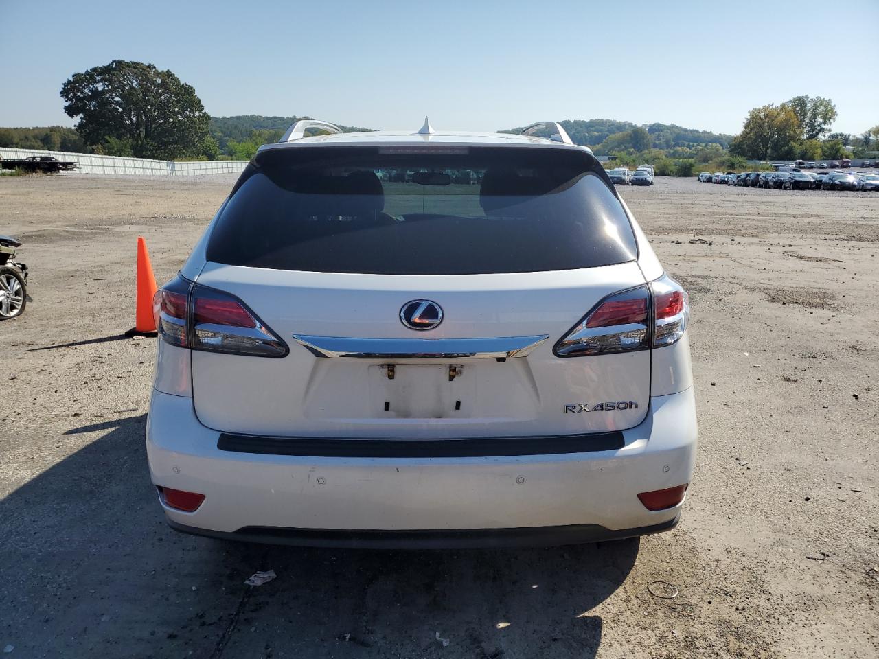 2014 Lexus Rx 450H VIN: JTJBC1BA8E2068180 Lot: 80273975