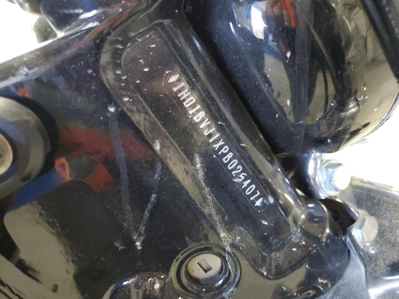 2023 Harley-Davidson Fxst VIN: 1HD1BVJ1XPB025407 Lot: 81001365