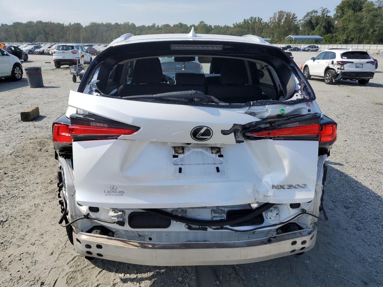 2020 Lexus Nx 300 VIN: JTJGARBZ3L5015916 Lot: 80486165