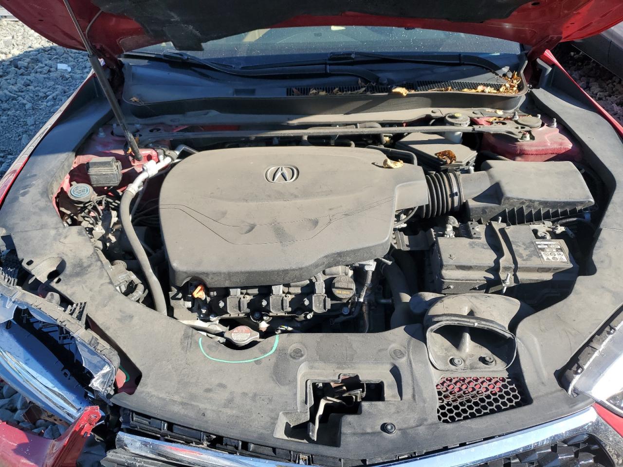 2019 Acura Tlx Technology VIN: 19UUB2F4XKA002659 Lot: 70279735