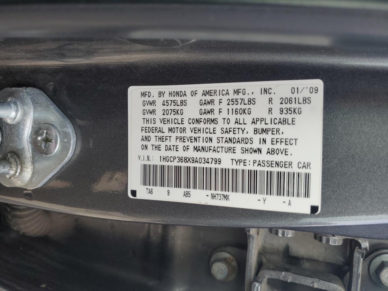 2009 Honda Accord Exl VIN: 1HGCP368X9A034799 Lot: 80110035