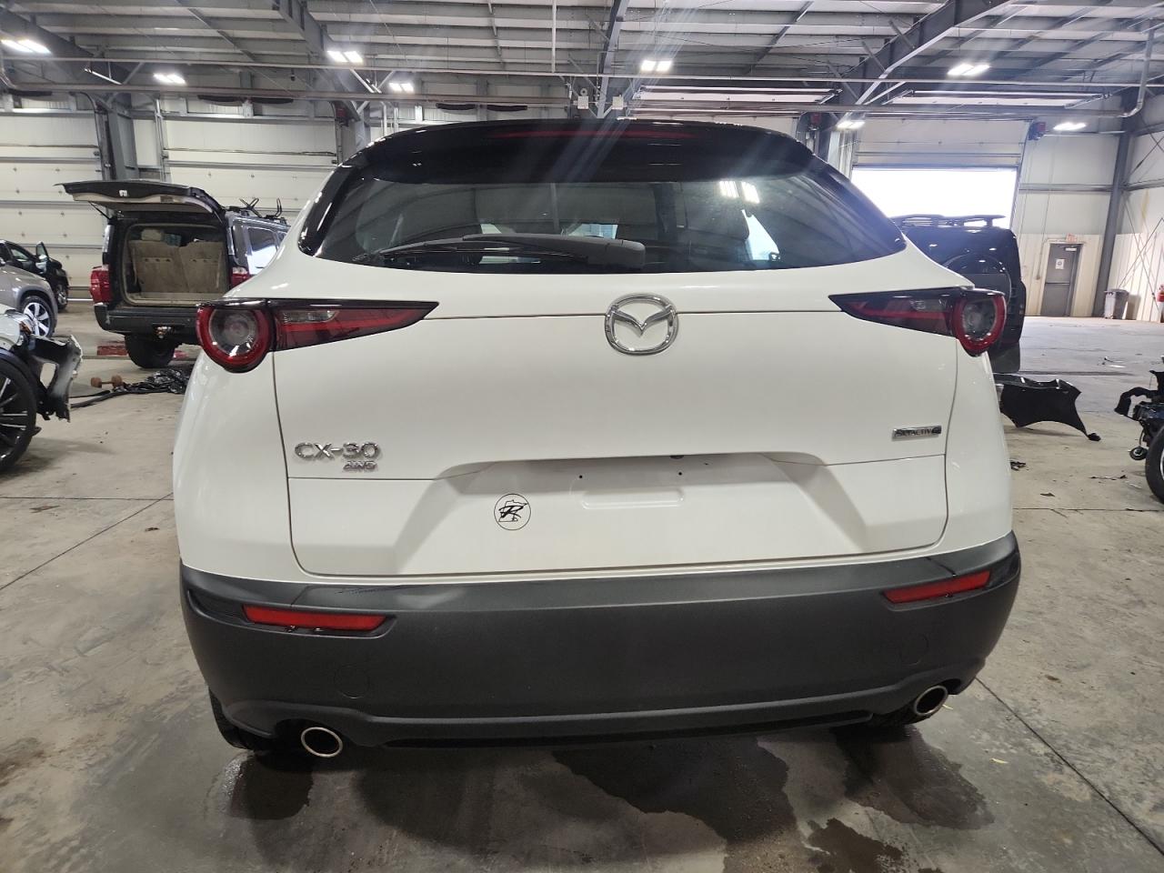 2025 Mazda Cx-30 VIN: 3MVDMBAM8SM766589 Lot: 81151465