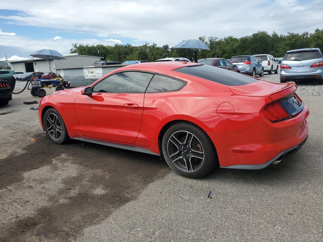 2020 Ford Mustang VIN: 1FA6P8TH0L5137183 Lot: 81908285