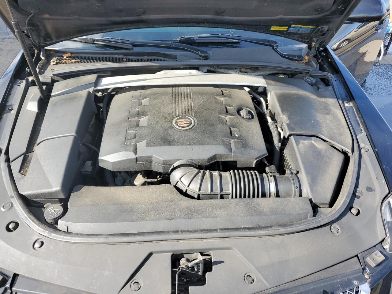 2010 Cadillac Cts Premium Collection VIN: 1G6DS5EV7A0103420 Lot: 80084175