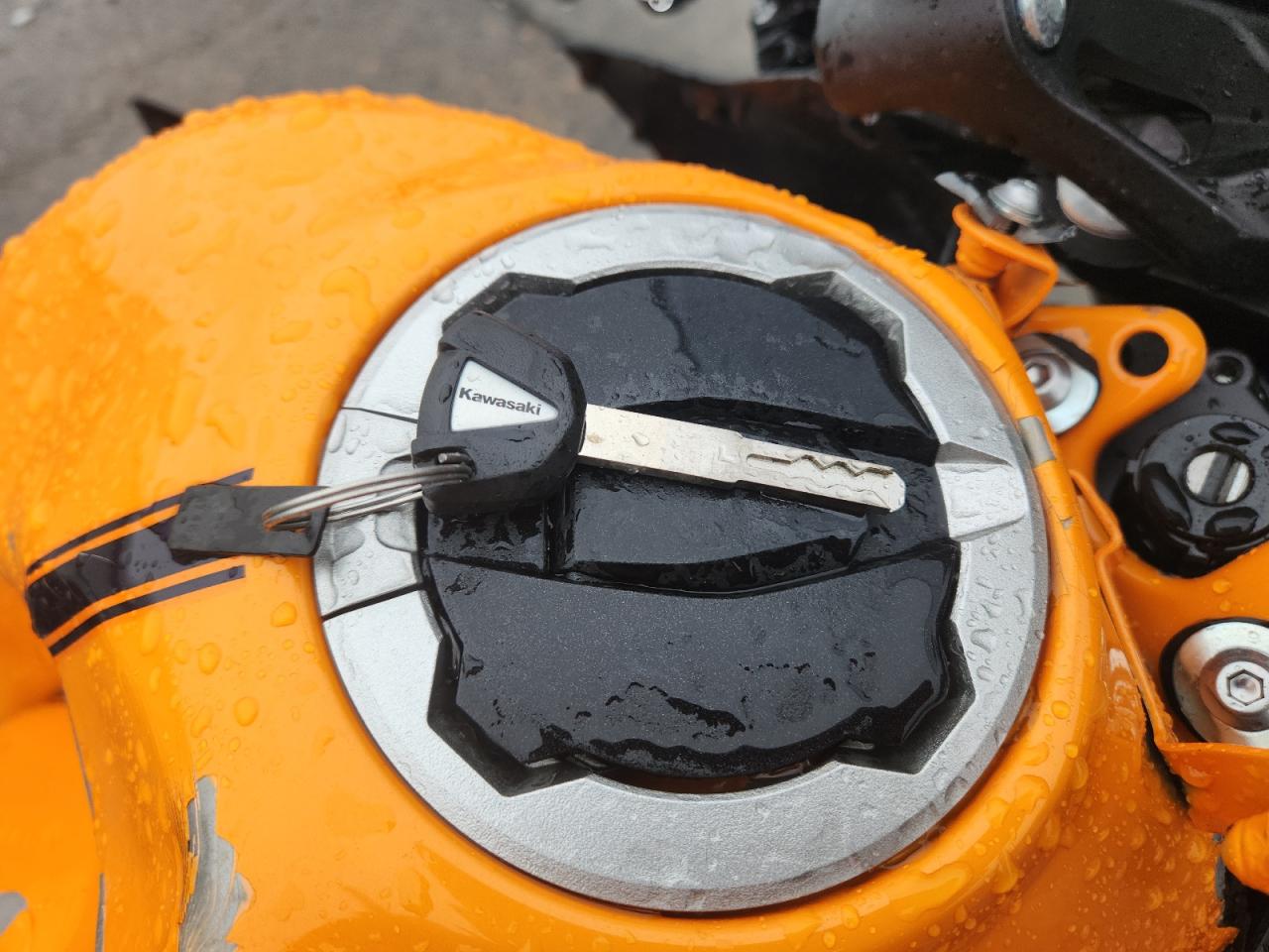 2025 Kawasaki Ex650 P VIN: ML5EXEP17SDAF8169 Lot: 81593945