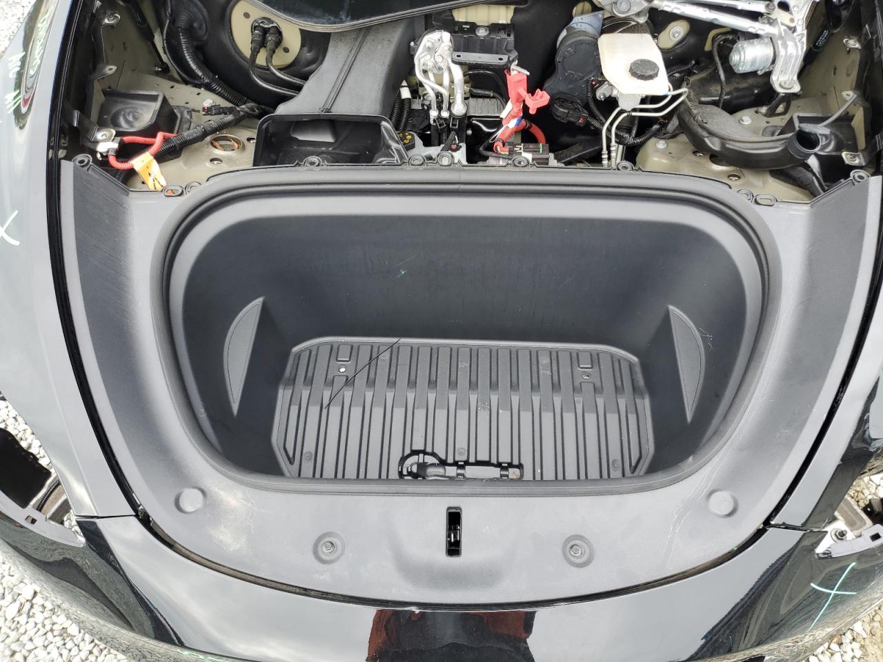 2024 Tesla Model Y VIN: 7SAYGDEF7RA307845 Lot: 81873455