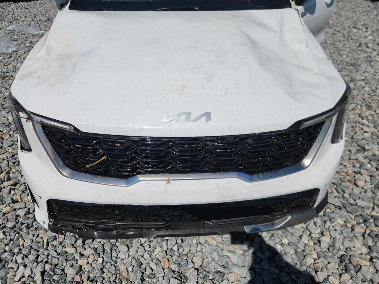 2024 Kia Sorento S VIN: 5XYRL4JC4RG295352 Lot: 80300795