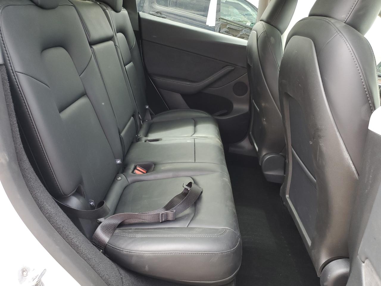 2024 Tesla Model Y VIN: 7SAYGDEE8RF205643 Lot: 80568525