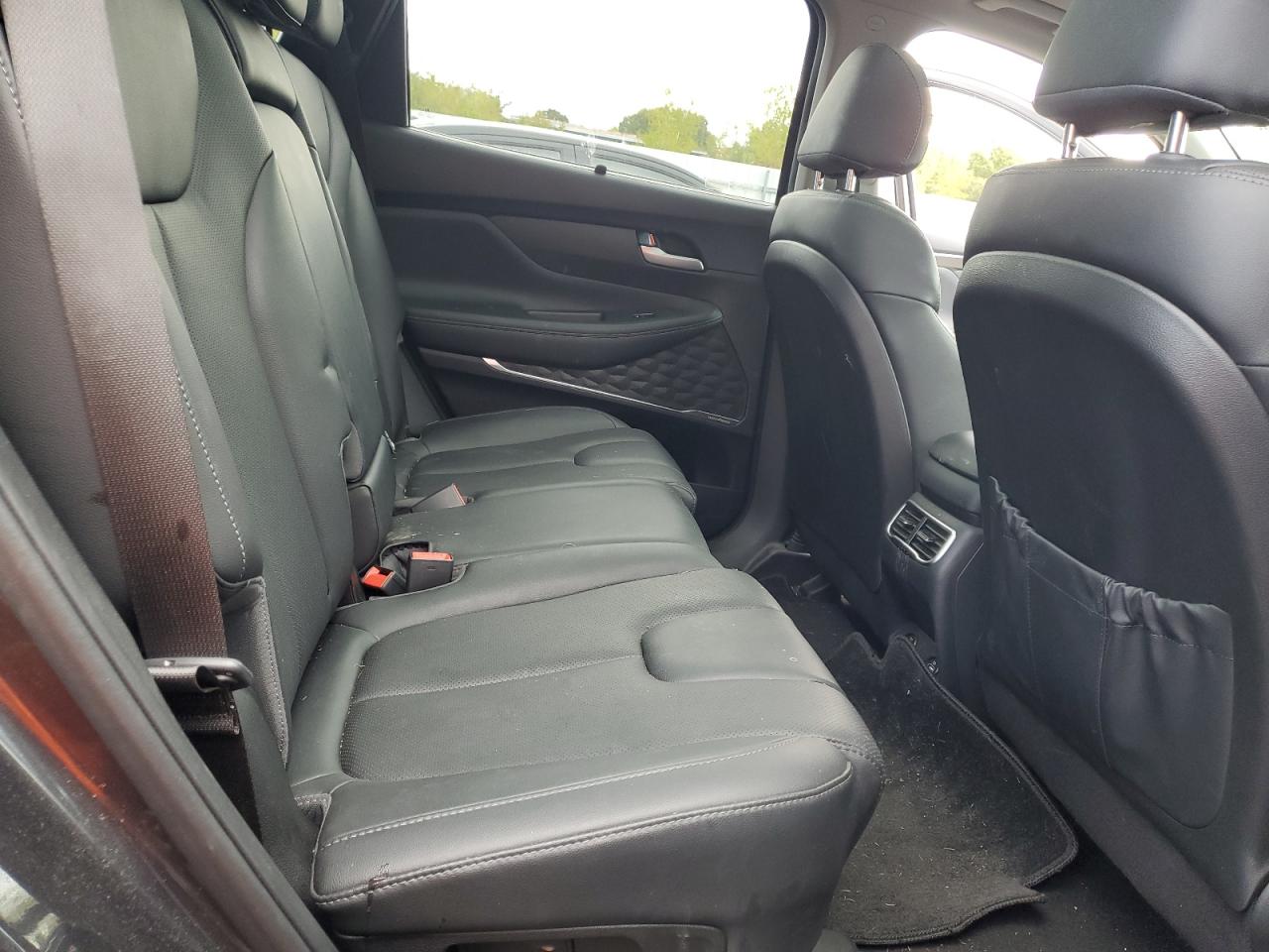 2023 Hyundai Santa Fe Sel Premium VIN: 5NMS3DA13PH017318 Lot: 80371265