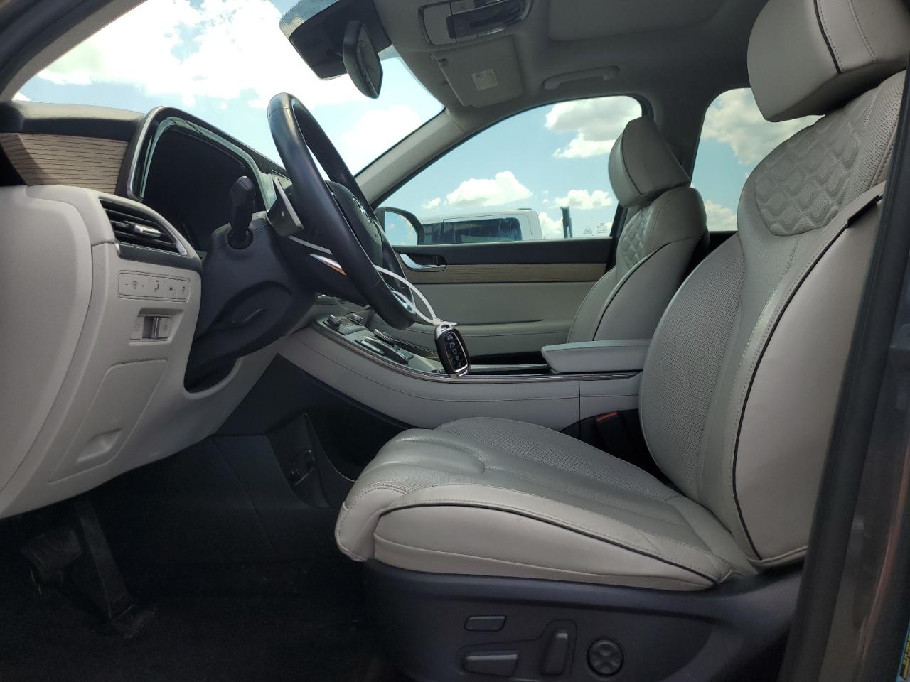 2021 Hyundai Palisade Limited VIN: KM8R54HE6MU245721 Lot: 81296845