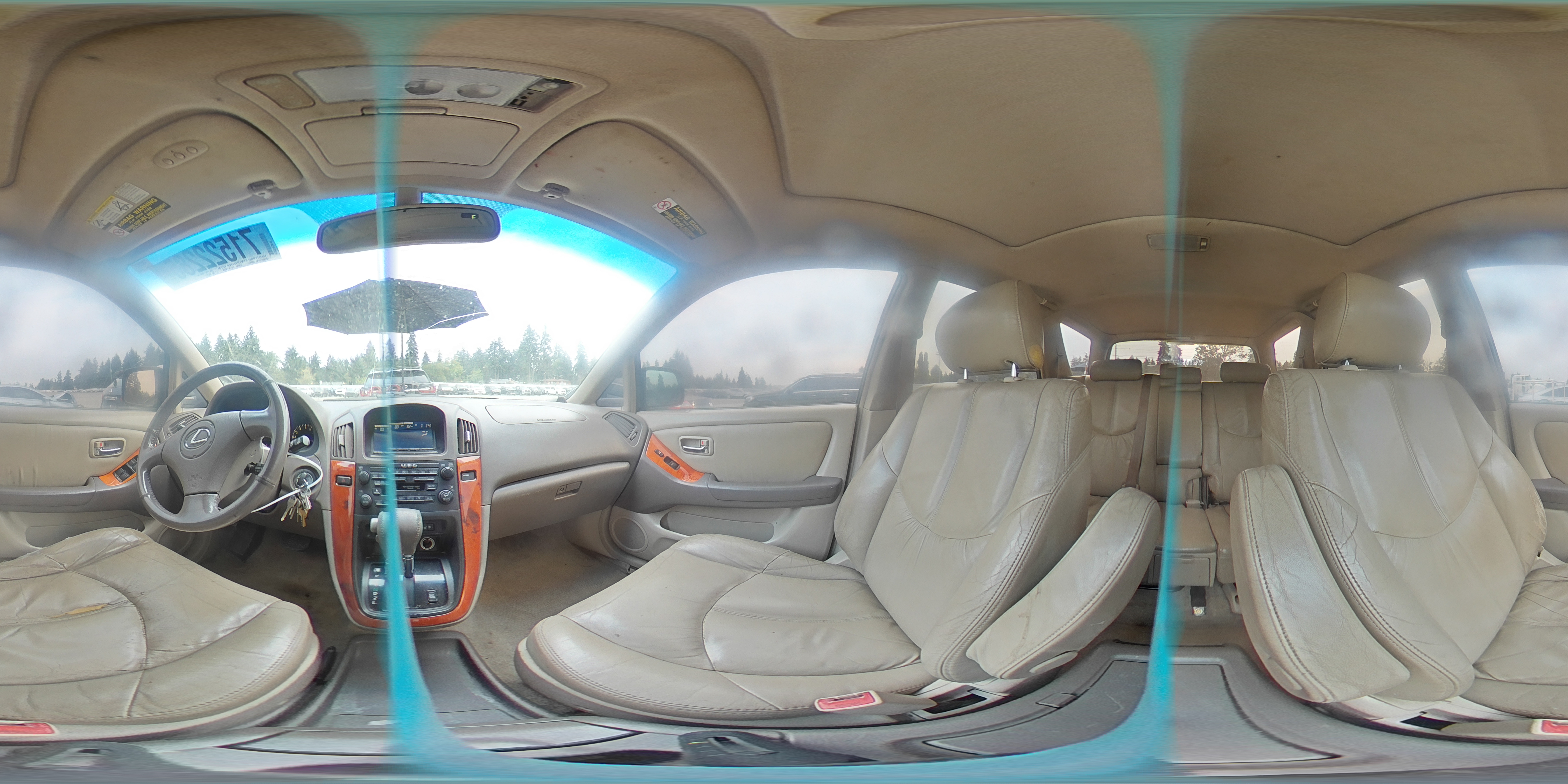 2001 Lexus Rx 300 VIN: JTJHF10U410186733 Lot: 71522285