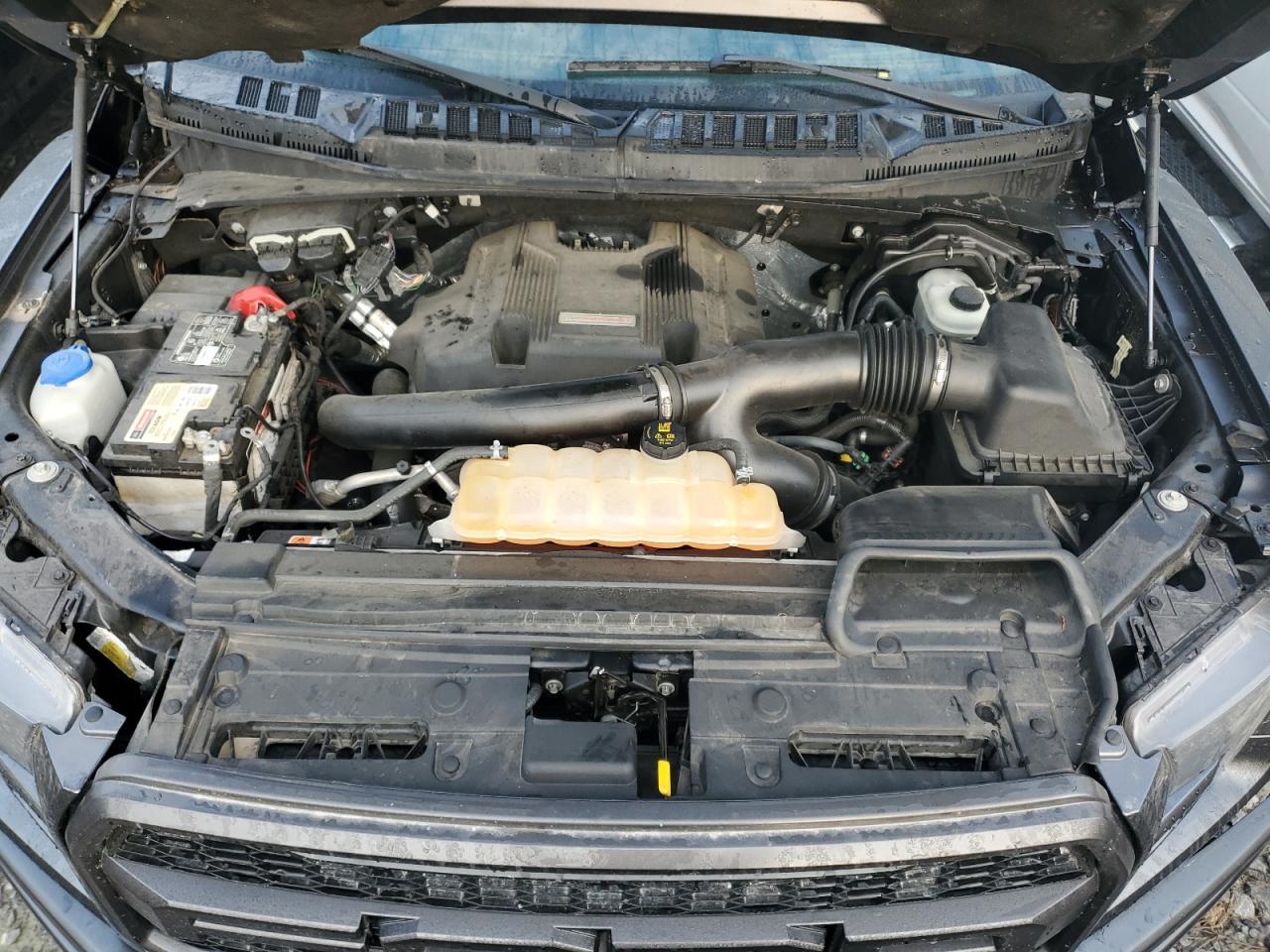 2018 Ford F150 Raptor VIN: 1FTFW1RG2JFB94091 Lot: 81157405