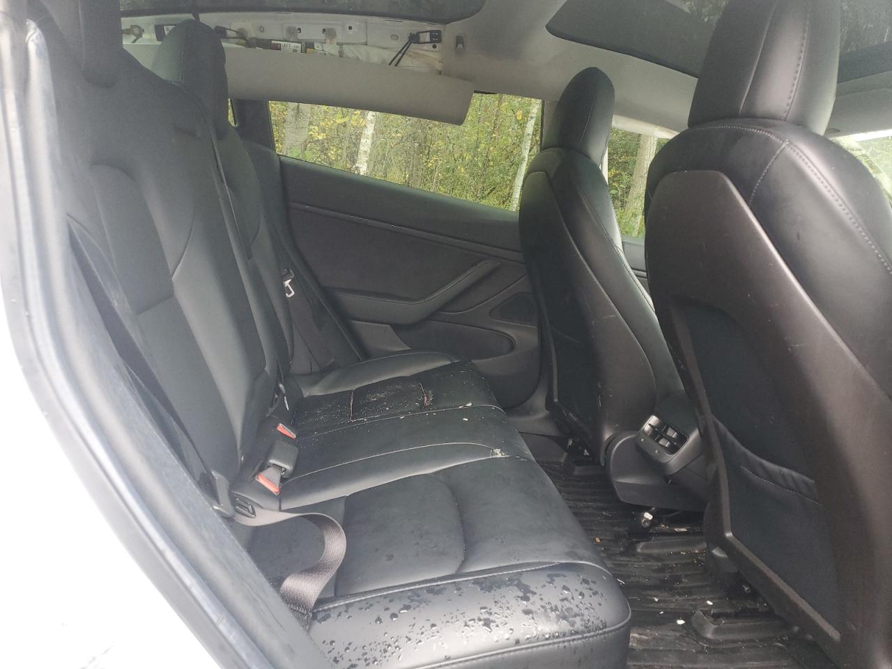 2019 Tesla Model 3 VIN: 5YJ3E1EA2KF480455 Lot: 83810895