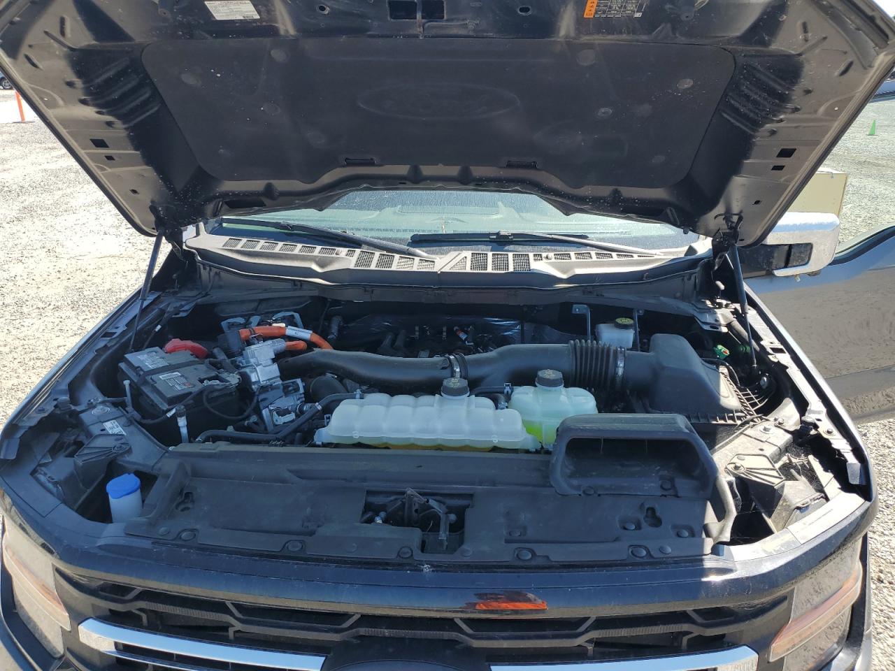 2024 Ford F150 Xlt VIN: 1FTFW3LD9RFB22889 Lot: 81363715