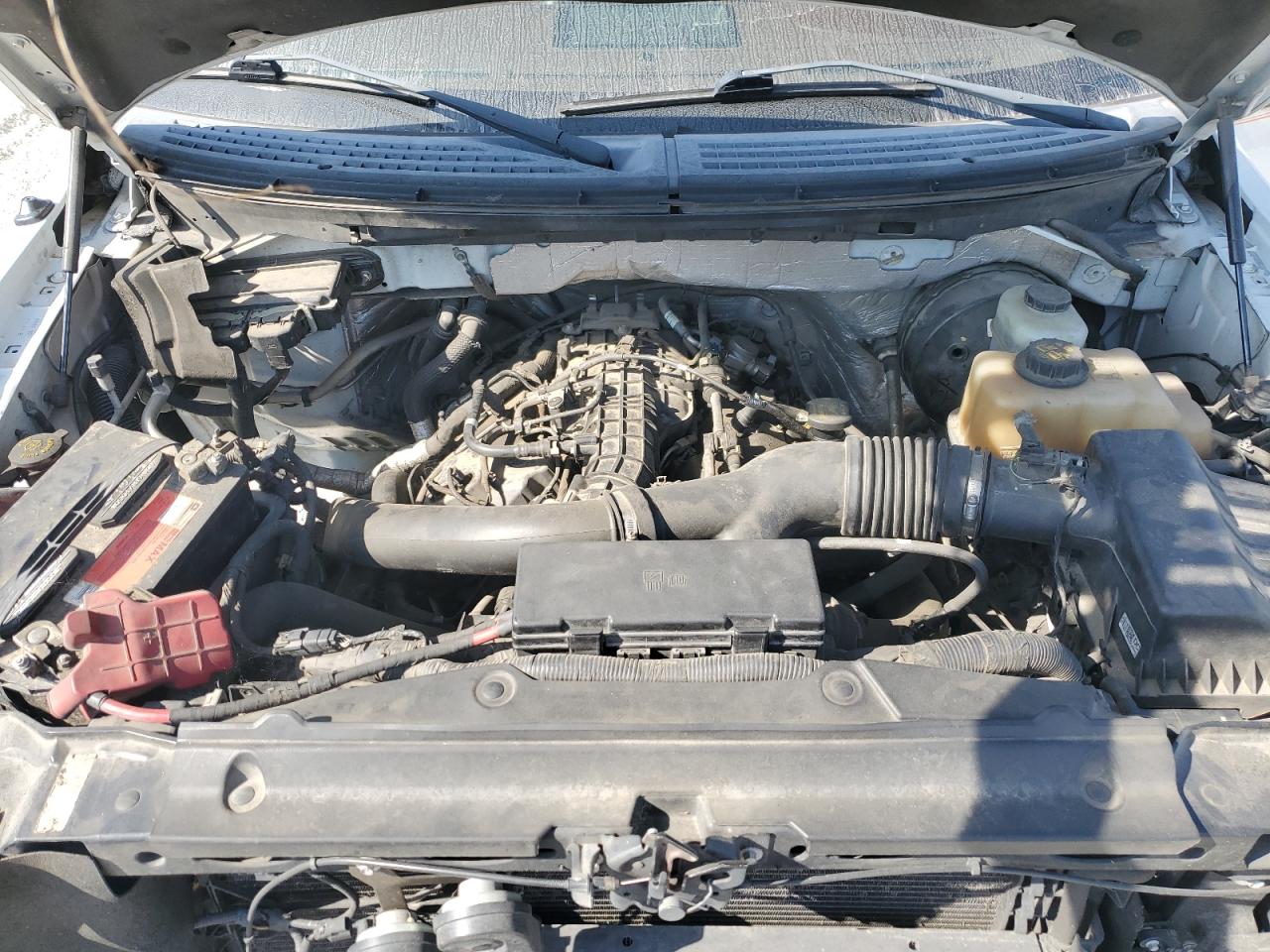 1FTFW1CT0DKD02029 2013 Ford F150 Supercrew