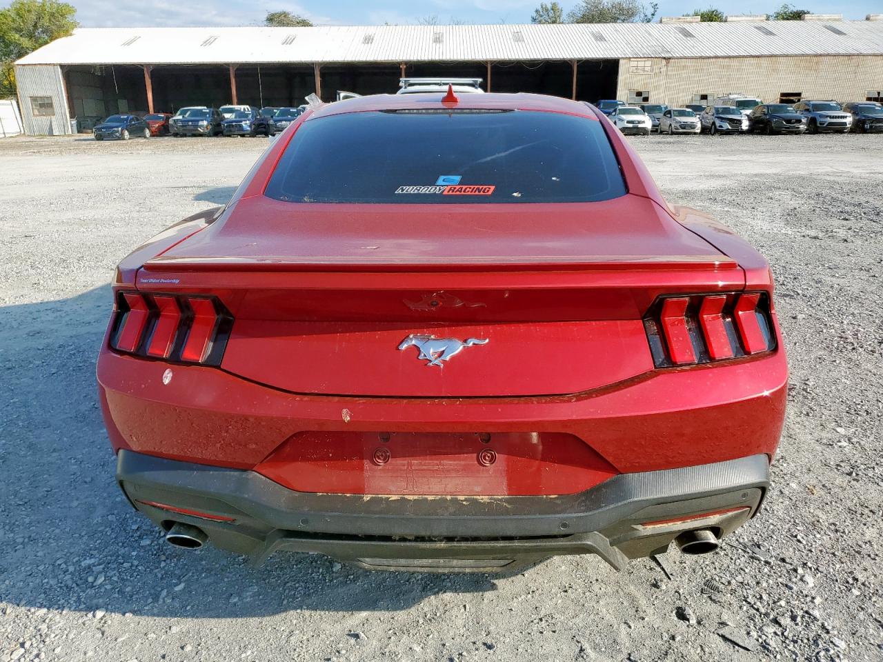 2024 Ford Mustang VIN: 1FA6P8TH1R5126525 Lot: 81888165