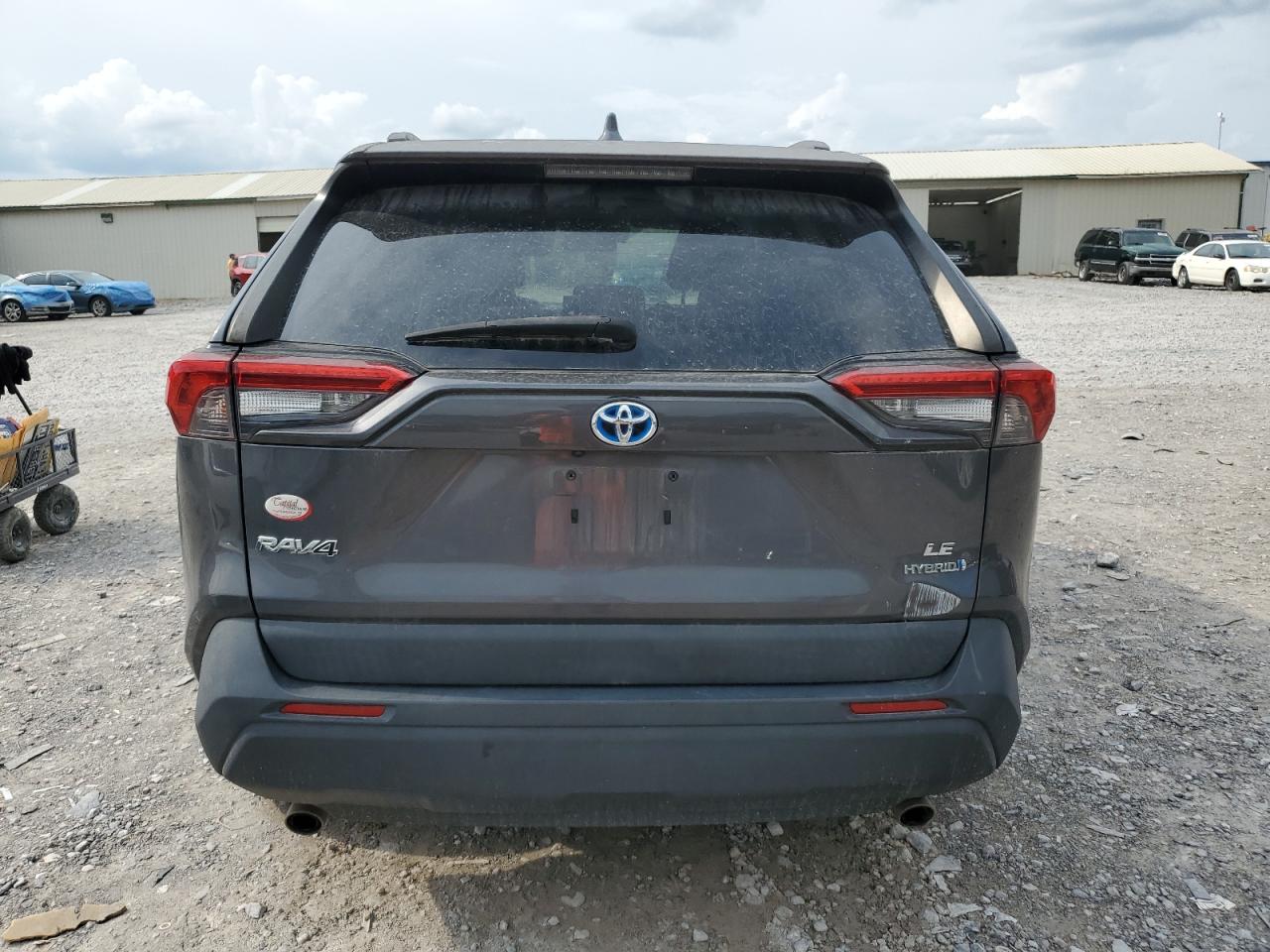 2020 Toyota Rav4 Le VIN: 2T3LWRFV1LW052384 Lot: 81476675